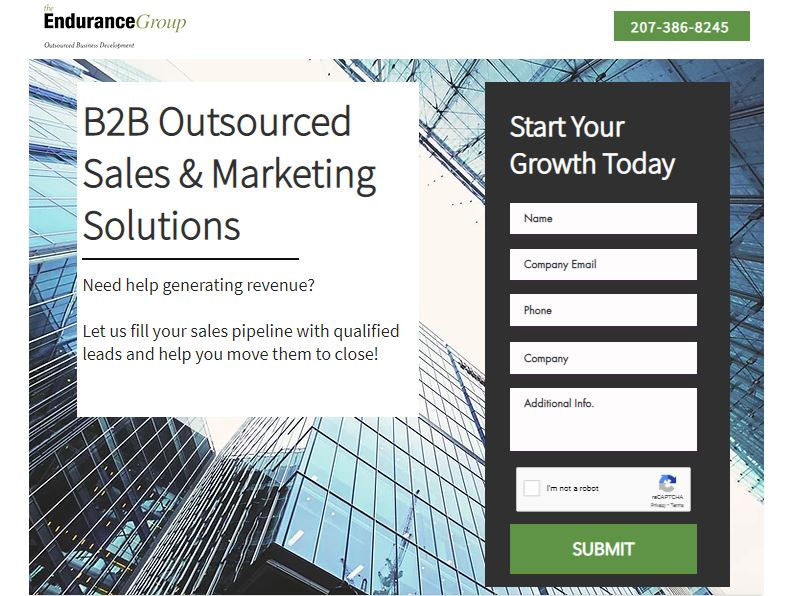 The Endurance Group B2B Outsourced Sales and Marketing Landing Page