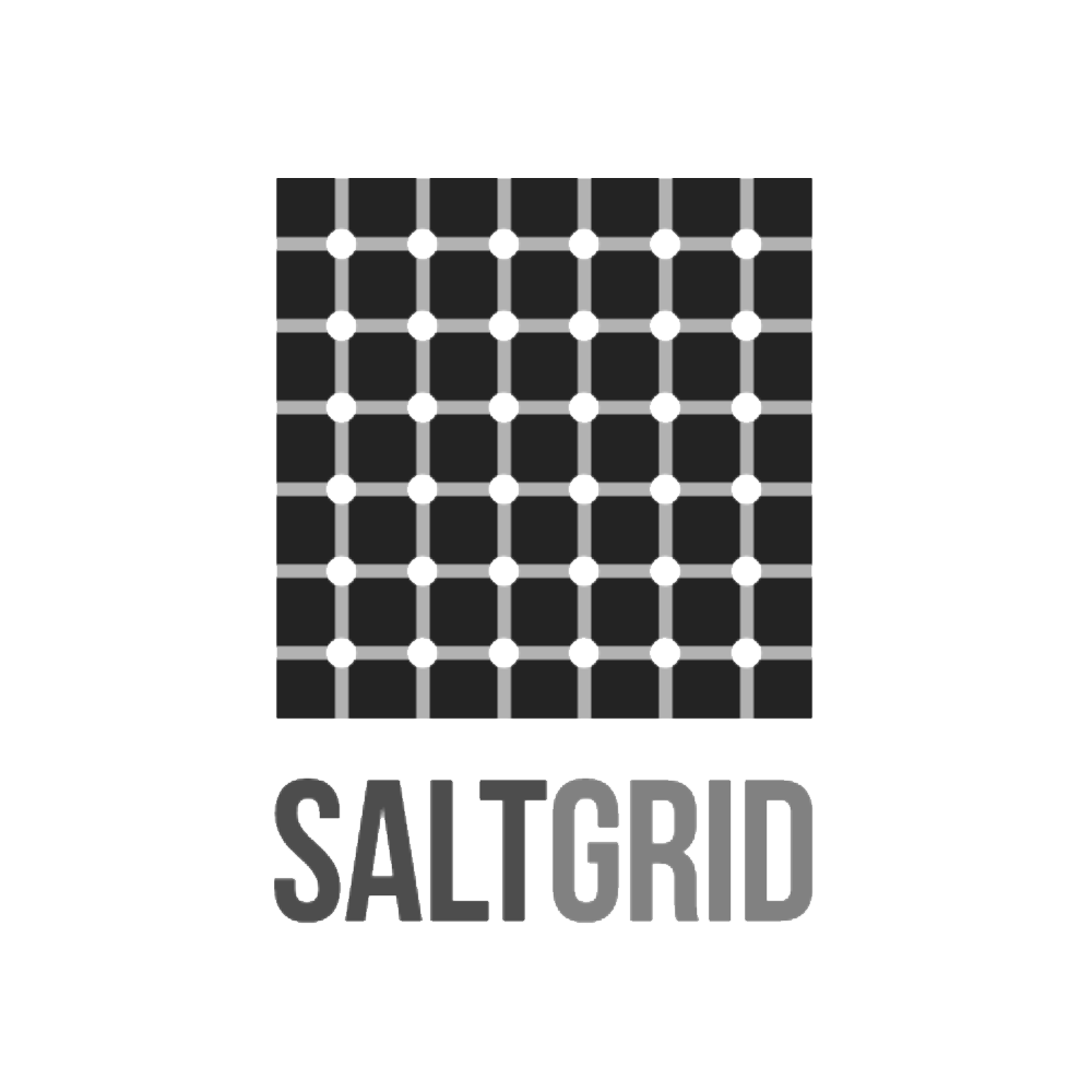 SaltGrid logo