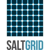 Saltgrid Color - AI for US Market Entry